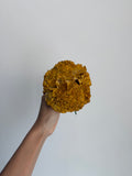 CLAVEL AMARILLO