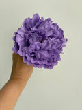 FLOR  MALVA