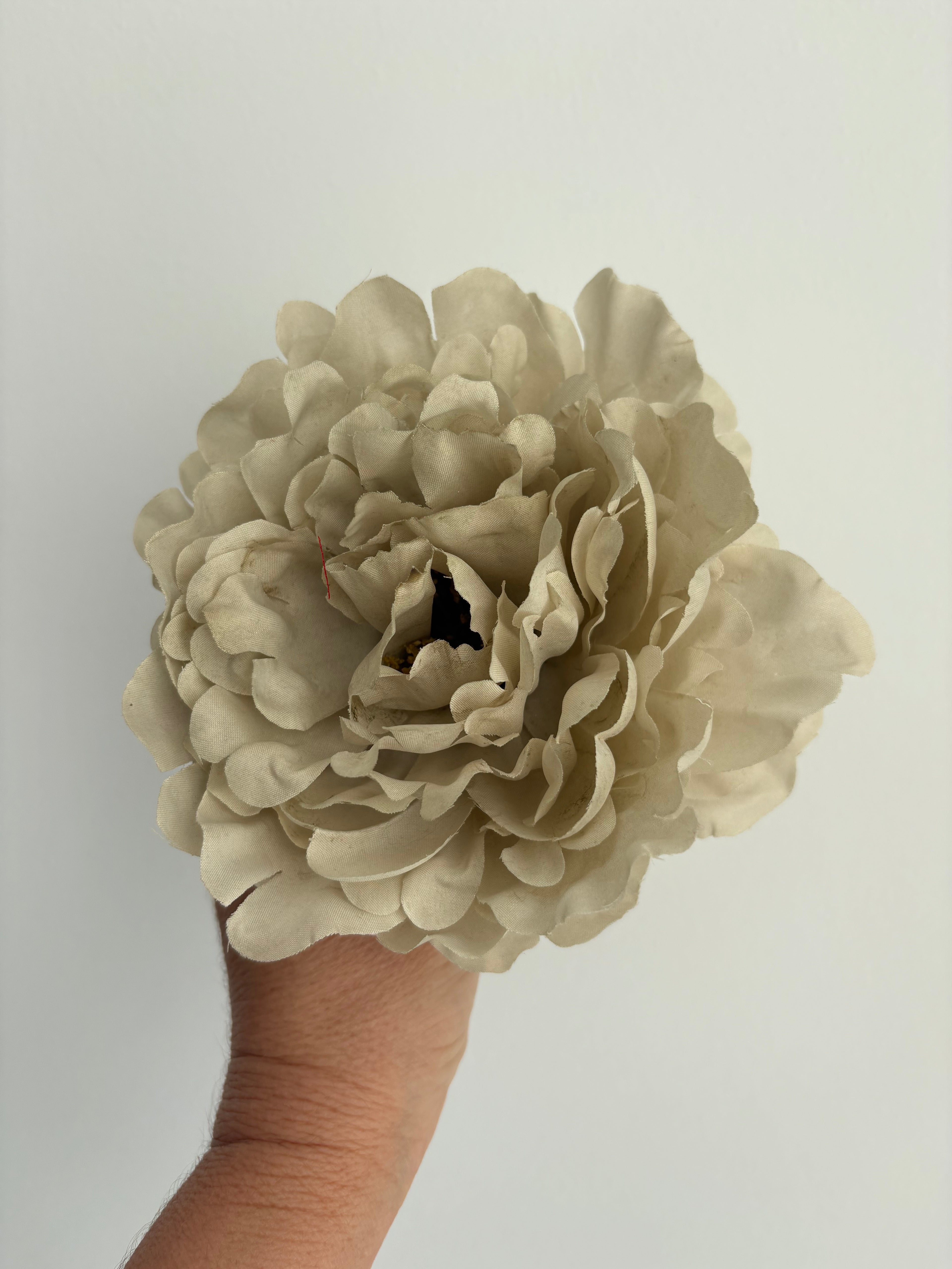 FLOR  TOPO