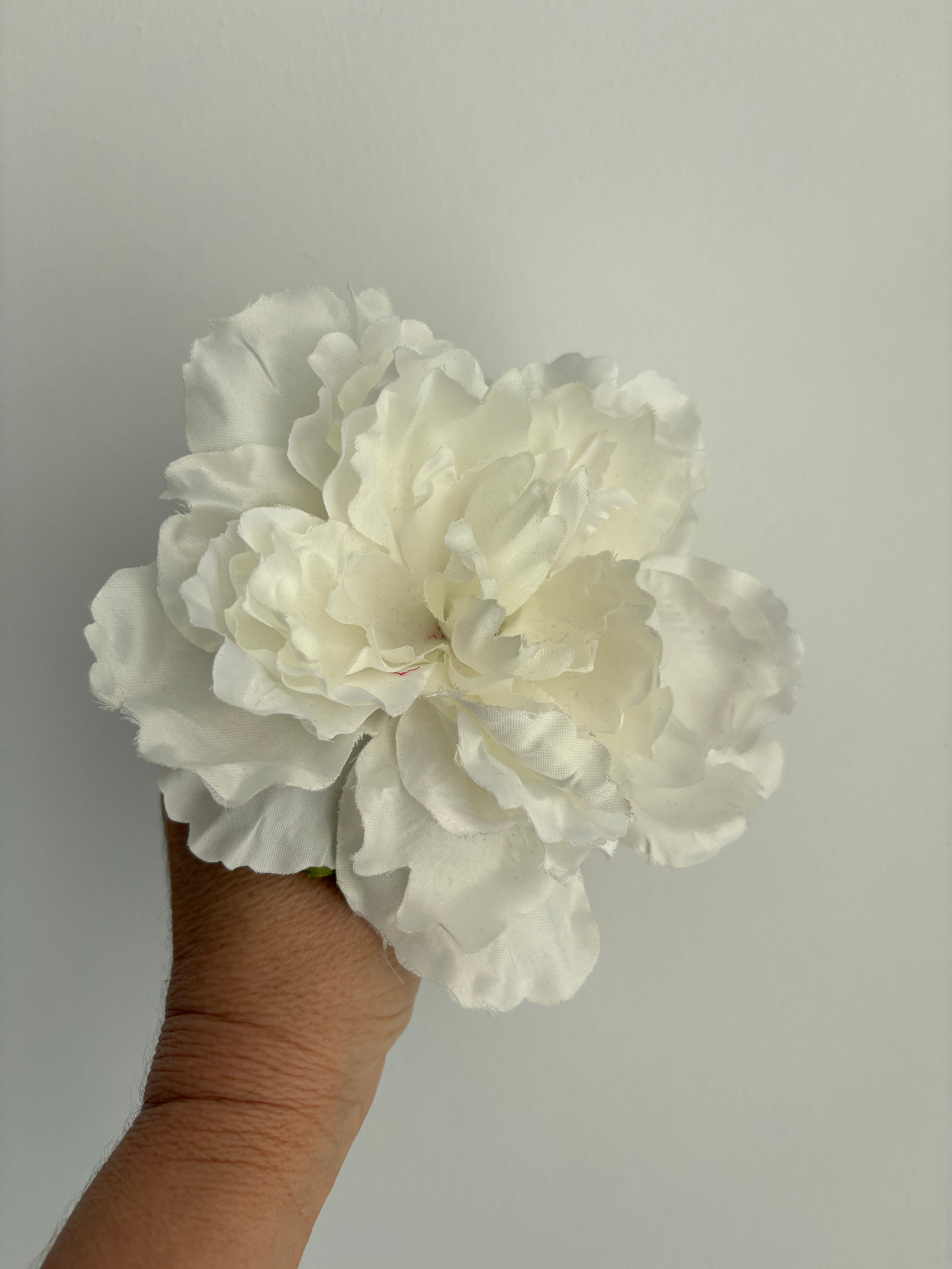 FLOR BLANCA 1