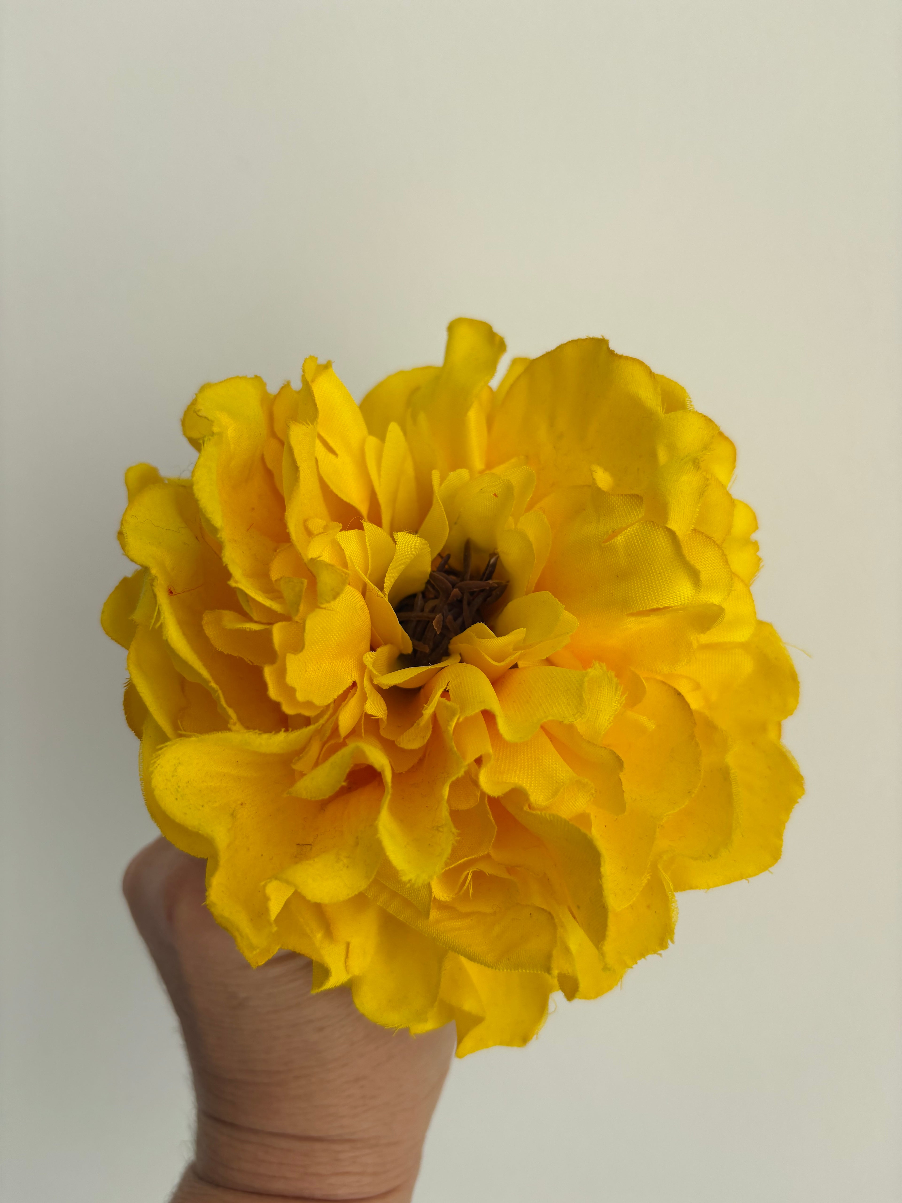 FLOR AMARILLA 2