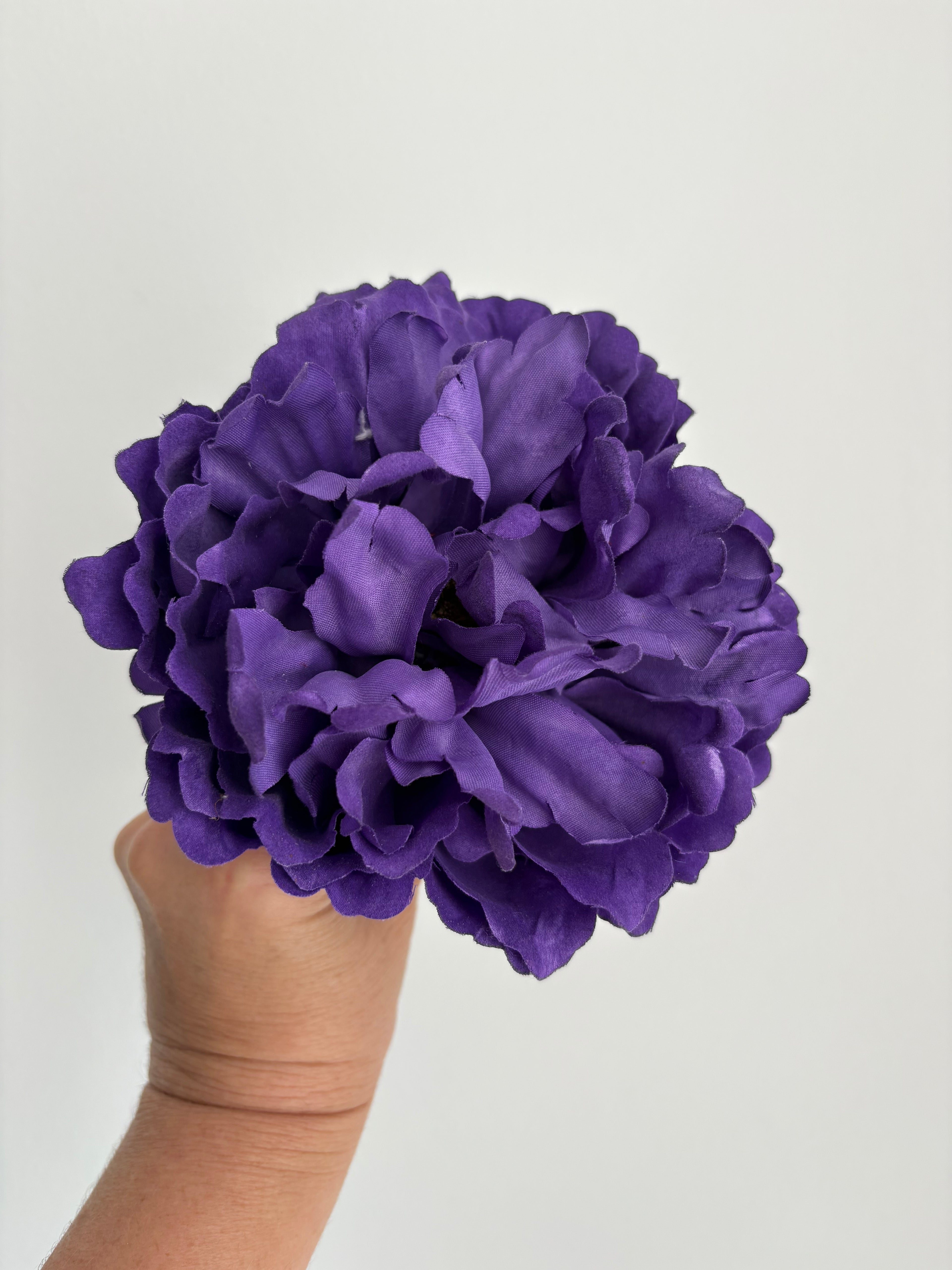 FLOR MORADA
