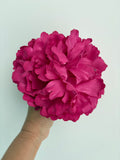 FLOR FUCSIA 1