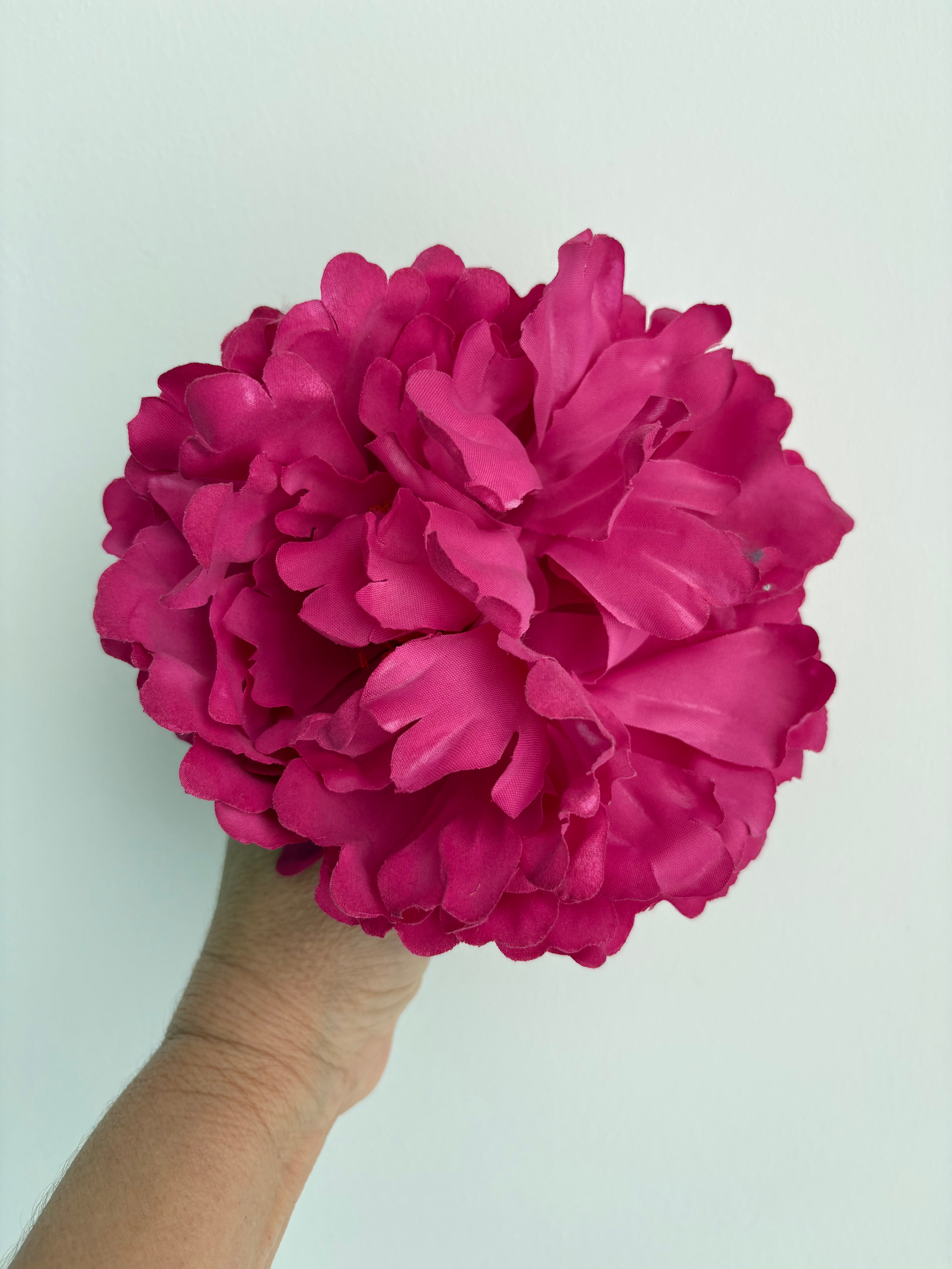 FLOR FUCSIA 1