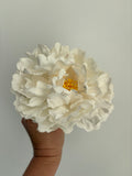 FLOR BLANCA 2
