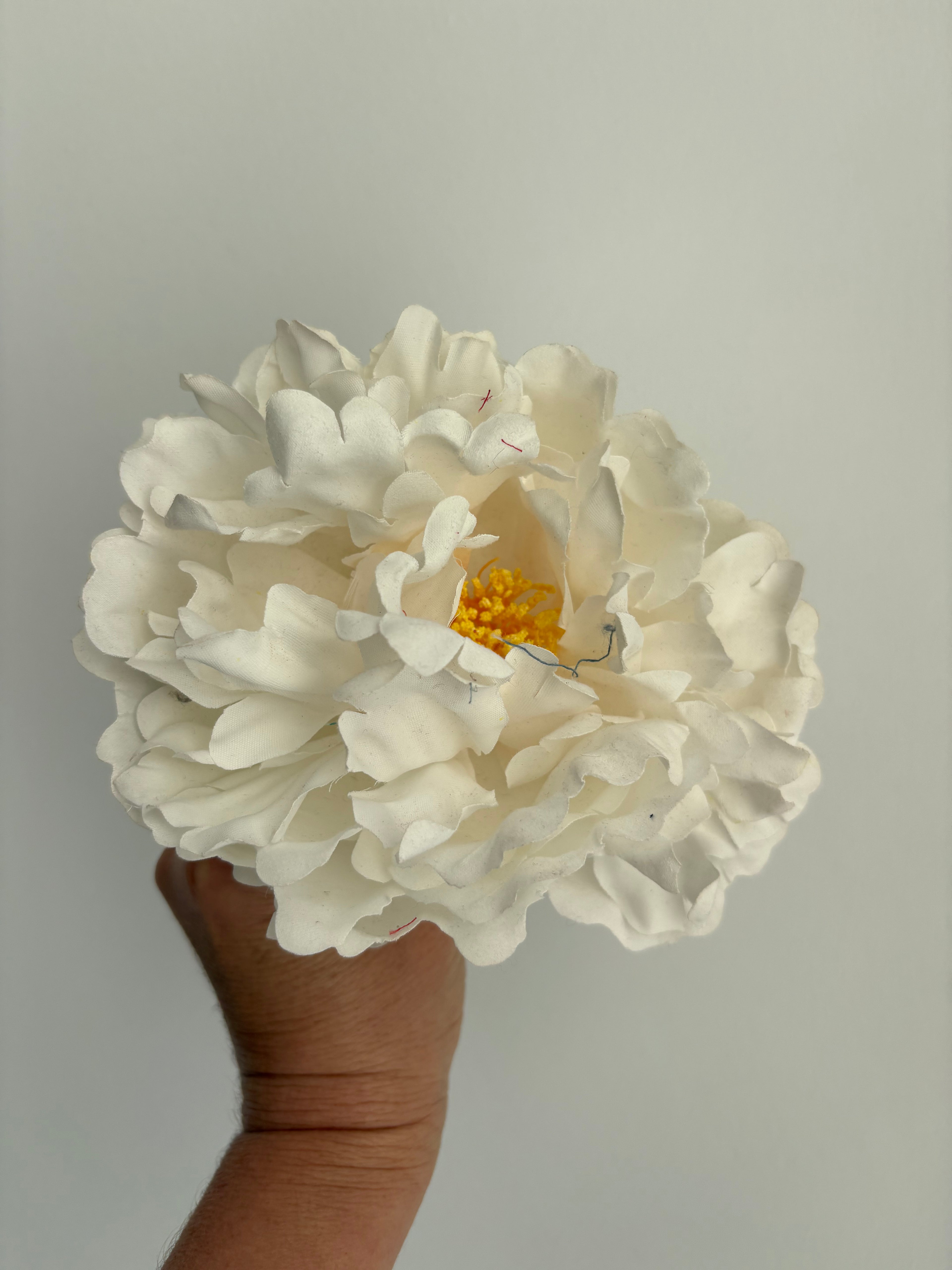FLOR BLANCA 2