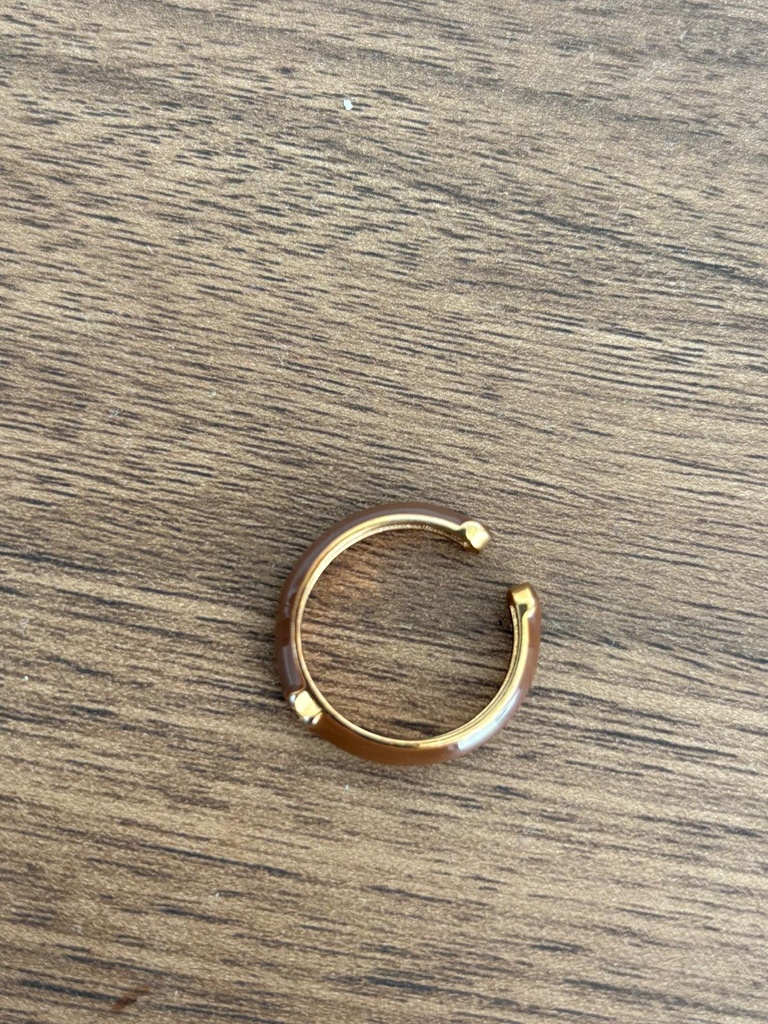 Anillo