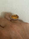 Anillo TERRA