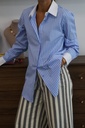 Camisa DARWIN