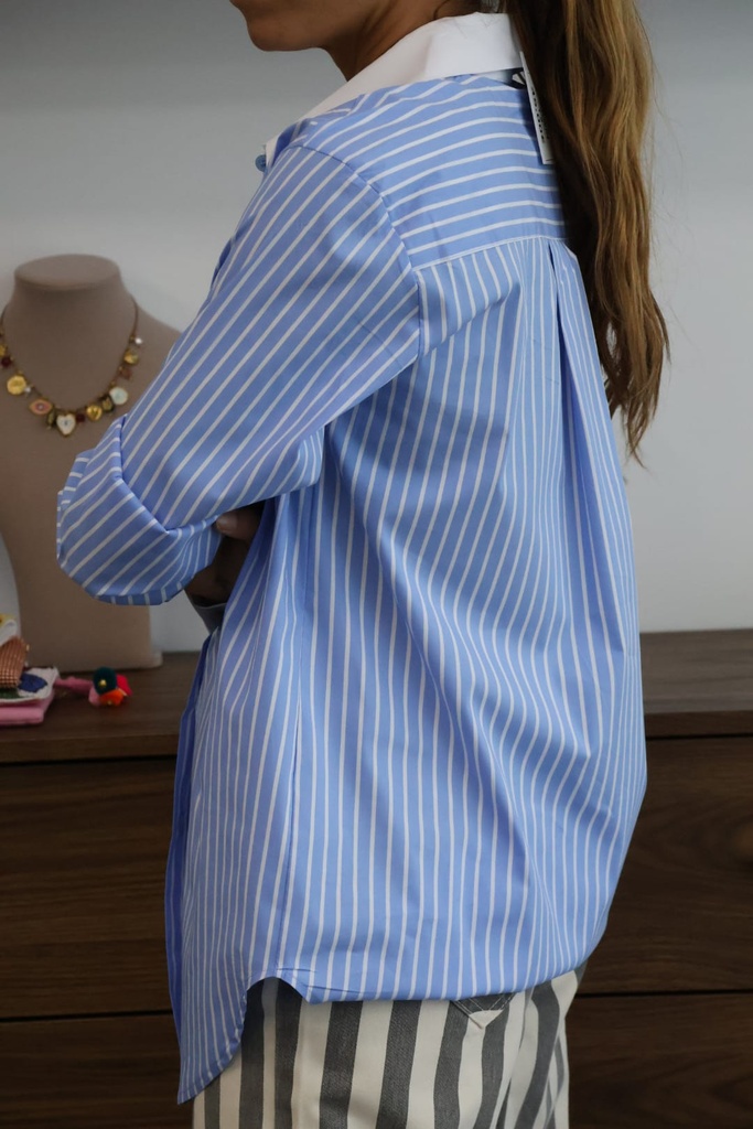 Camisa DARWIN