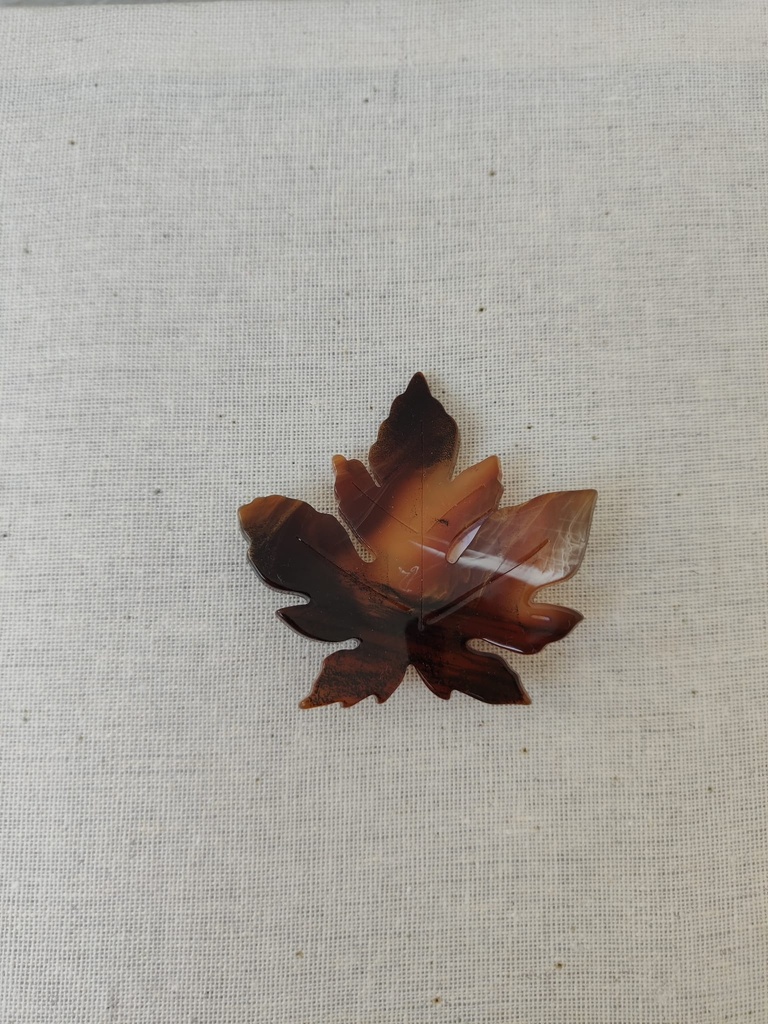 Broche Otoño Marrón