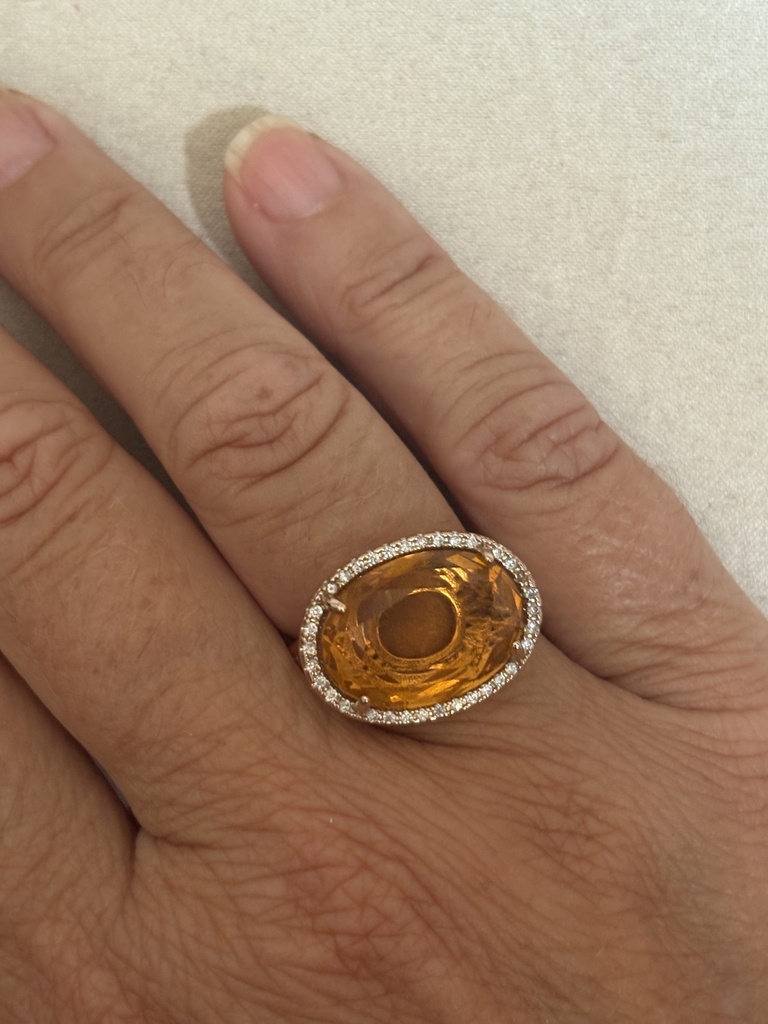 Anillo TERRA