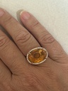 Anillo TERRA