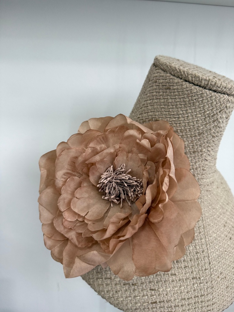 Broche AMANCIA Nude