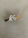 Broche CORAL Blanco