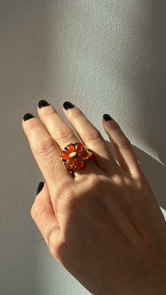 ANILLO CORALINA