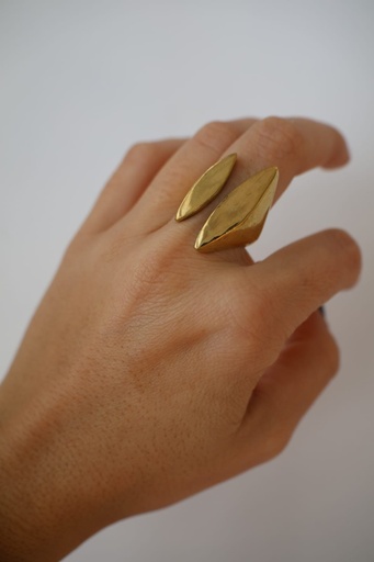 Anillo ERBIO