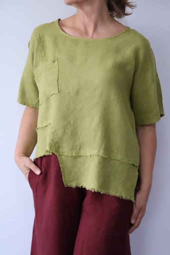 [LIN83680PIS] Camisa CAMPEIRO Pistacho