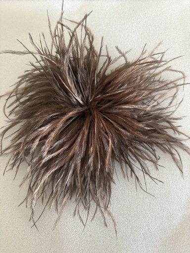 Broche MARABÚ Marrón