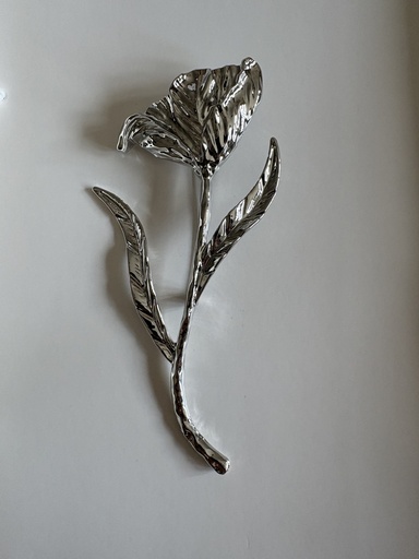 [IBE24150] Broche TALLO Plateado